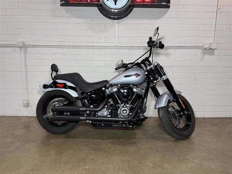 2020 HARLEY DAVIDSON FLSL Softail Slim